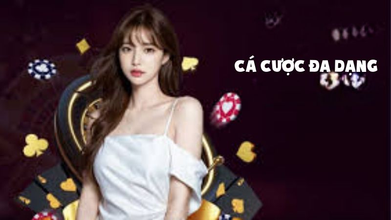 Nhà cái VN86 – Sân chơi cá cược đỉnh cao cho game thủ