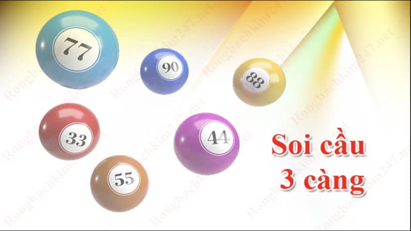 Kỹ thuật bắt số 3 càng hiệu quả theo khung 7 ngày